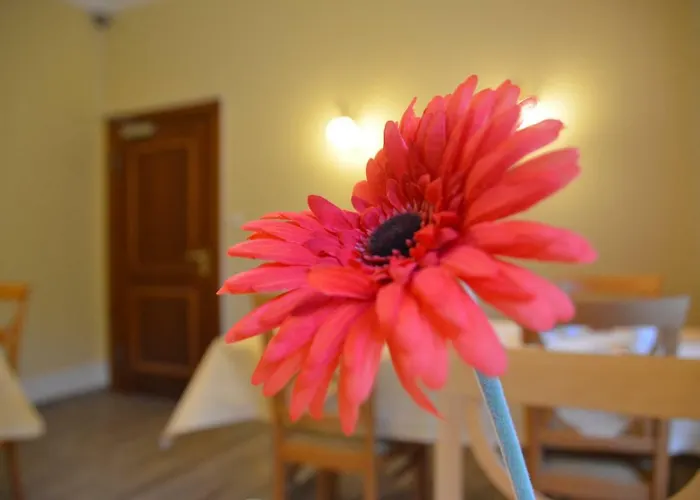 Kisseleff Bad Homburg vor der Höhe